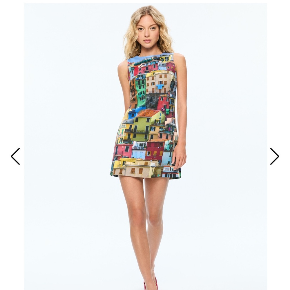 Alice + Olivia Multi-Color Scenic Print Mini Dress